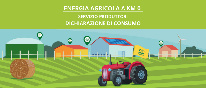 Featured image for “Compilazione e invio della dichiarazione di consumo”